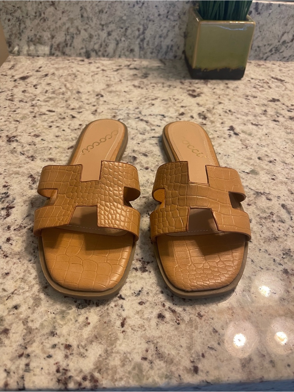 CCOCCI Tan Croc-Embossed H-Strap Slide Sandals